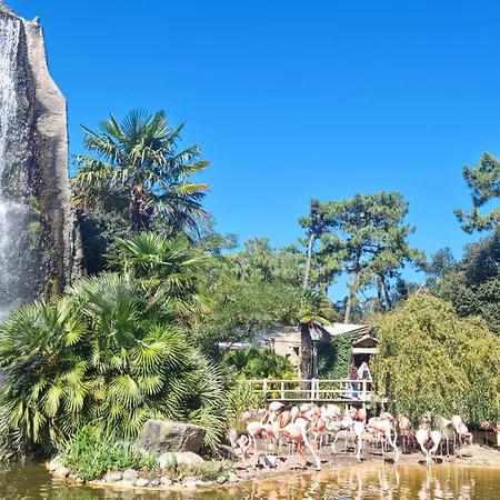 Cozy In St-georges-de-didonn With Wifi *